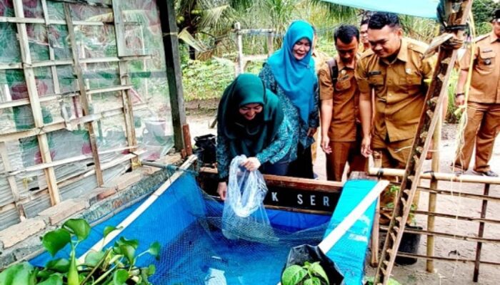 Ketua TP PKK Batubara Serahkan Ternak Dan Benih Ikan
