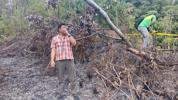 Illegal Logging, Sejumlah BB Ditemukan Di Mosa Tapsel