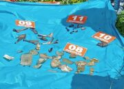 Polres Aceh Singkil Turunkan Tim Ahli Gali Kuburan Bangkai Penyu