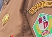 Ribuan Non ASN Di Pidie Terancam Menganggur