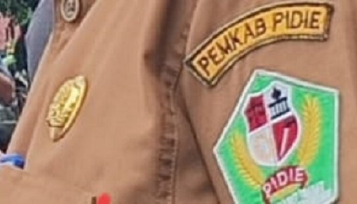 Ribuan Non ASN Di Pidie Terancam Menganggur