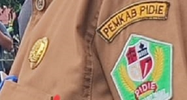 Ribuan Non ASN Di Pidie Terancam Menganggur