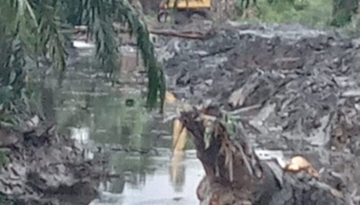 Perdalam Sungai Langkah Tepat Atasi Banjir