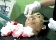 Nabrak Kerbau, Seorang Pengendara Sepedamotor Tewas Di Simeulue