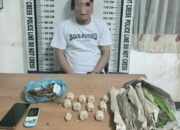 Miliki Ganja Dan Sabu, Polres P.Siantar Ringkus 2 Pelaku