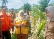 Siapa Yang Pertama Kali Mencuatkan Semangka Jadi Simbol Palestina?