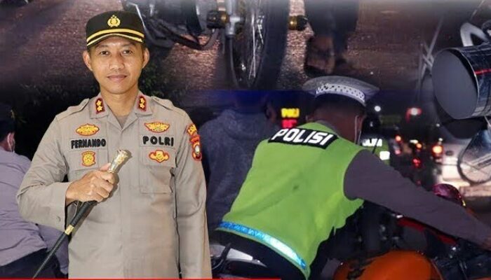 Duta Literasi Asal Madina Raih Juara II Nasional