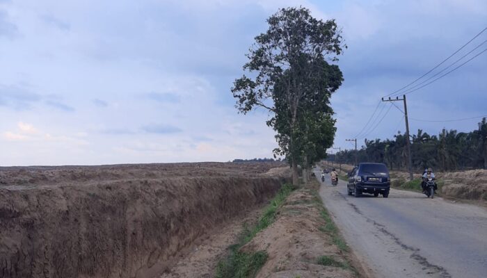 PTPN-4 Kebun Laras Dinilai Ceroboh, Pekerjaan Parit Galian Makan Damija