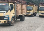 PT RPR Ganti Rugi 105 Ha Untuk Plasma Singkuang 1