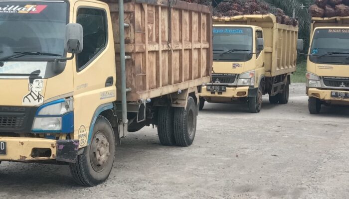 PT RPR Ganti Rugi 105 Ha Untuk Plasma Singkuang 1