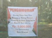 Di Situnjak, Tangkap Maling Hadiah Rp5 Juta