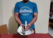 Polisi Ringkus Pengedar Beserta 63 Paket Ganja Di Kualabaru