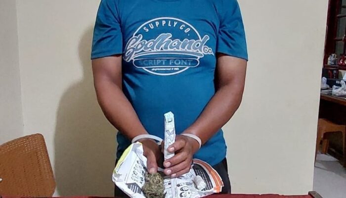 Polisi Ringkus Pengedar Beserta 63 Paket Ganja Di Kualabaru