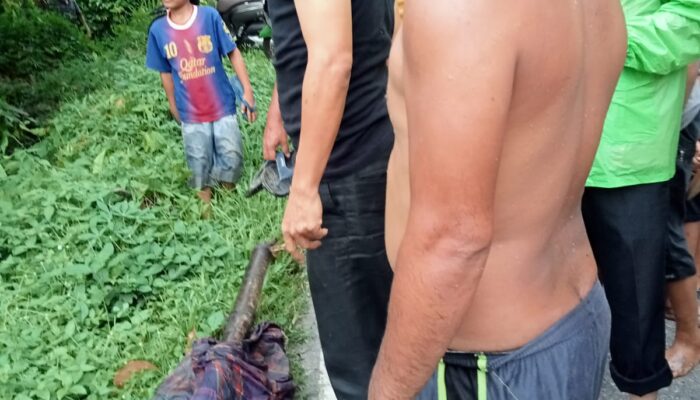 Mayat Wanita Mengambang Di Sungai Batang Gadis