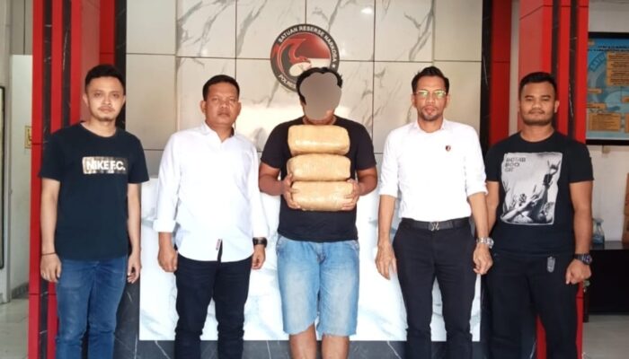 Nekat Jadi Kurir Ganja 6 Kg Untuk Lebaran Anak Dan Istri