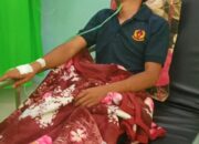 Tgk Sri Darmawan: Empat Cara Menyikapi Hari Lahir Rasulullah SAW