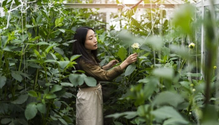Perkuat Implementasi Ekonomi Hijau, Kalbis Institut Gelar Program MM in Sustainable
