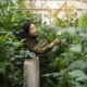 Perkuat Implementasi Ekonomi Hijau, Kalbis Institut Gelar Program MM in Sustainable