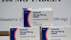 Paxlovid Obat Baru Covid, Efektif Cegah Kematian Hingga 89 Persen