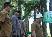Pelaku Perusakan Hutan Lae Pondom Ditertibkan