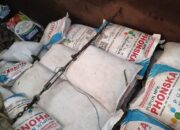 Sat Reskrim Polres Dairi Tangkap Terduga Pelaku Penyelewengan Distribusi Pupuk Bersubsidi