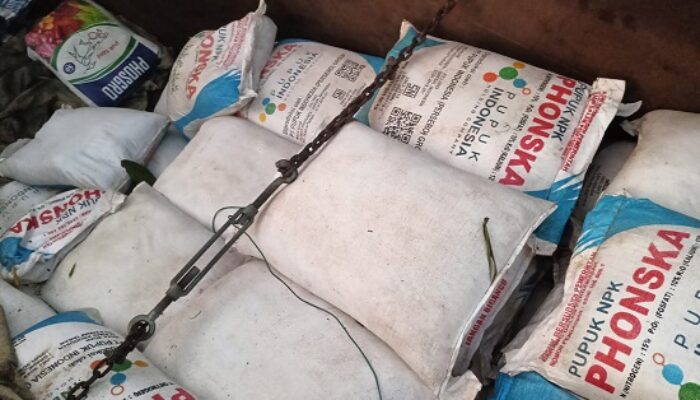 Sat Reskrim Polres Dairi Tangkap Terduga Pelaku Penyelewengan Distribusi Pupuk Bersubsidi