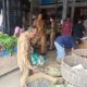 TINJAU PASAR: Plt. Kepala Dinas Perdagangan, Koperasi dan UKM Aceh Timur, Khairurradi, bersama Kabid Perdagangan, Muhammad Furqan, meninjau pasar melakukan pengecekan harga di Pasar Rakyat Kota Idi, Aceh Timur, Selasa (4/4). Waspada/Muhammad Ishak