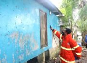 Ulat Bulu Disemprot Insektisida