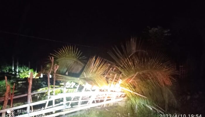 Listrik Di Sebagian Simeulue Kembali Padam Akibat Pohon Tumbang