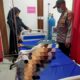 Korban Silfia Citra saat mendapat pertolongan medis. Waspada/Ist