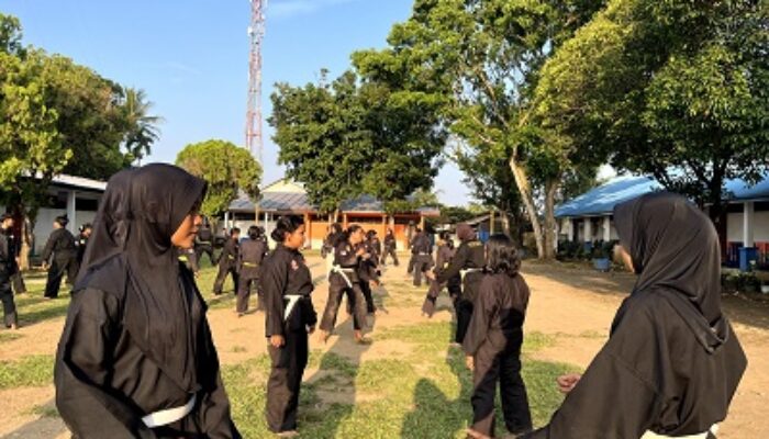 Srikandi Ganjar Gelar Pelatihan Pencak Silat Untuk Bentuk Jati Diri Milenial Di Sumut