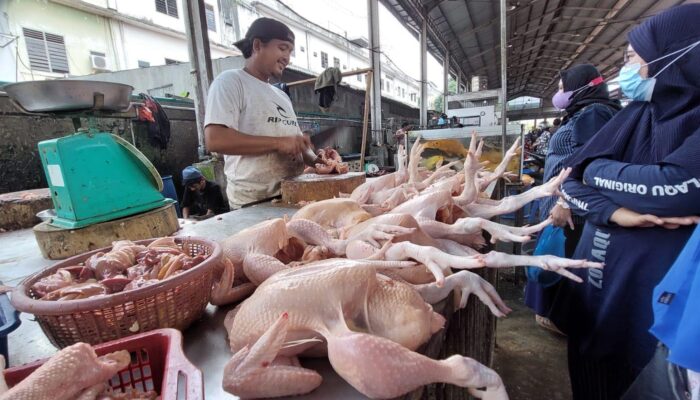 Harga Telur Dan Daging Ayam Naik
