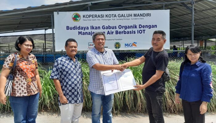 Pusat Pembenihan Ikan Gabus Sergai Berhasil Memperoleh Sertifikat CPIB