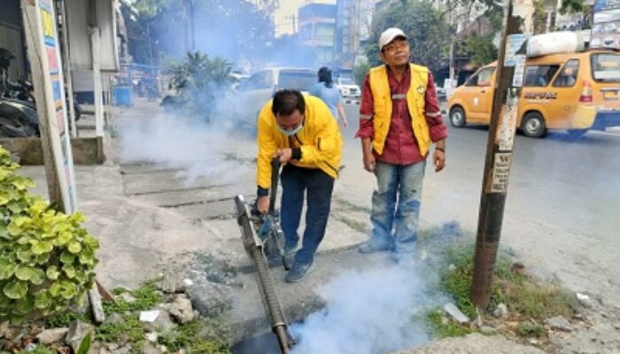 Cegah Bahaya DBD, Disti Nuaridho Bersama Pengurus PK Golkar Medan Baru Lakukan Fogging Dan Bagikan Bubuk Abate