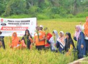 Nova Zahara Minta Pj Gubernur Dukung Pengembangan Padi Organik