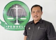 Usut Pelaku Perambahan Hutan Sebabkan Banjir Bandang