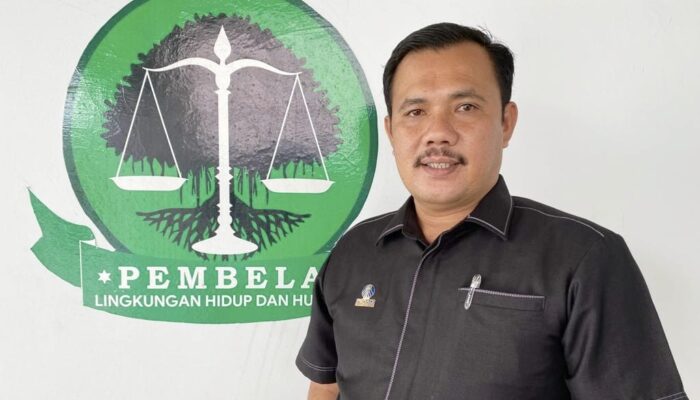 Usut Pelaku Perambahan Hutan Sebabkan Banjir Bandang