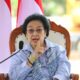 Megawati Ingatkan Pentingnya Menjaga Ekosistem Di Kawasan IKN