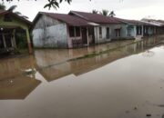 Lima Kecamatan Di Nagan Raya Terendam Banjir