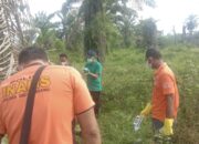 Tengkorak Perempuan Ditemukan Di Kebun Sawit Batangkuis
