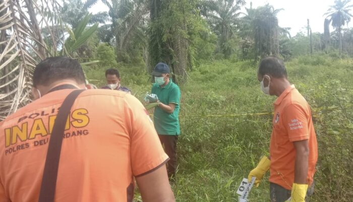 Tengkorak Perempuan Ditemukan Di Kebun Sawit Batangkuis