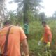 Tengkorak Perempuan Ditemukan Di Kebun Sawit Batangkuis