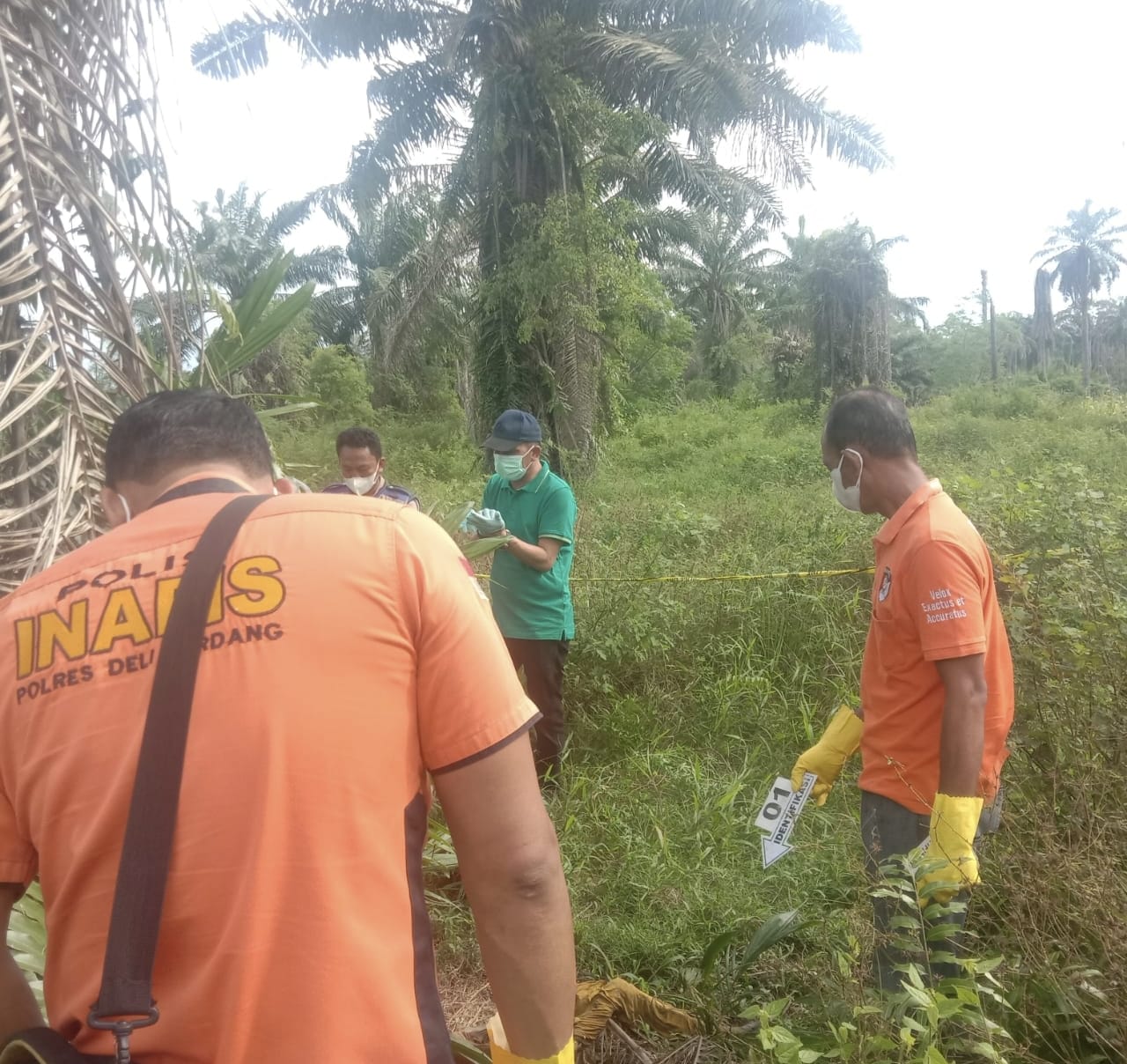 Tengkorak Perempuan Ditemukan Di Kebun Sawit Batangkuis