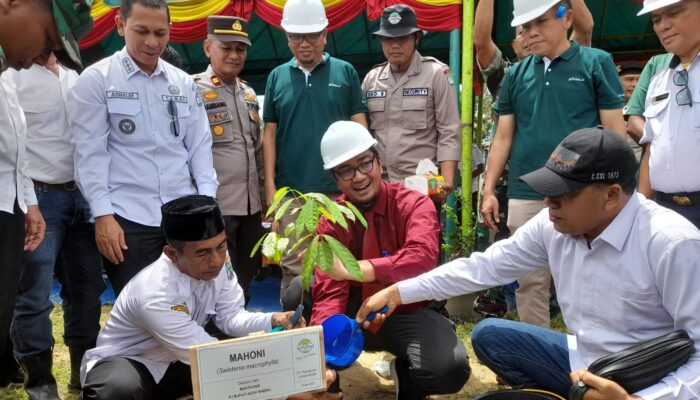 Bangun Hutan Kota Di Singkil Utara, PT PLB Tanam Pohon