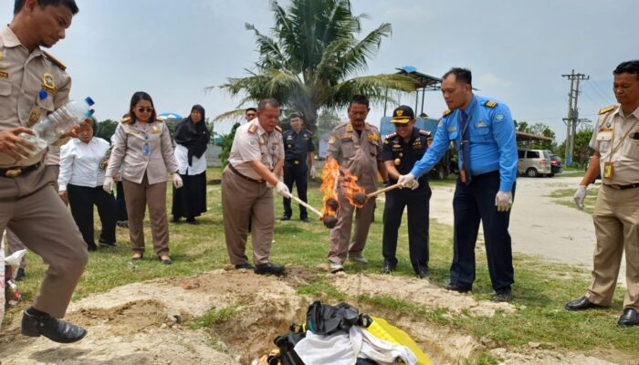 Antisipasi Hama,182 Ekor Ikan Cupang Malaysia Dimusnahkan