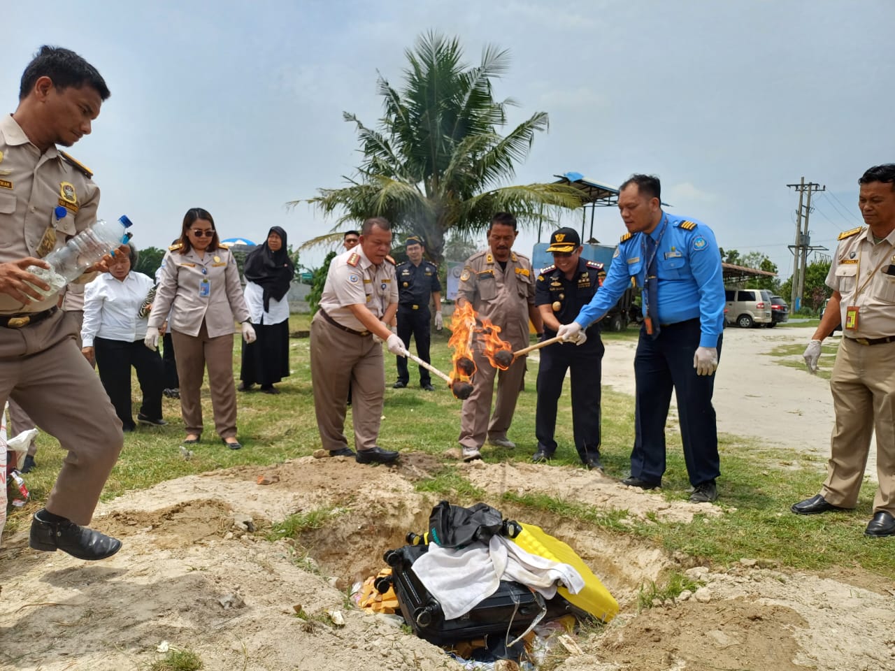 Antisipasi Hama,182 Ekor Ikan Cupang Malaysia Dimusnahkan