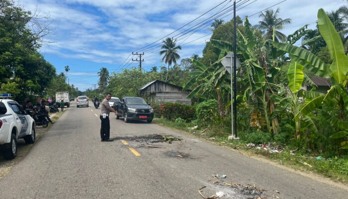 Di Aceh Selatan, 1 Meninggal Terlindas Truk