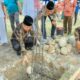Bupati Zahir Letakan Batu Pertama Musala H.OK.Abdul Jalil