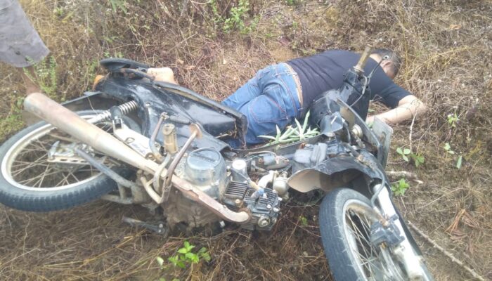 Warga Cempedak Lobang Ditemukan Meninggal Di Kebun Ubi