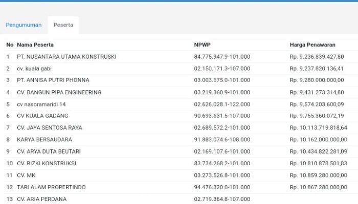 Baru 5 Paket Dilelang, Perusahaan Konstruksi Serbu Proyek Jalan Rp11 Miliar